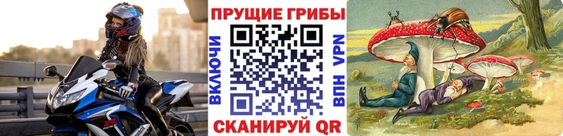 Псилоцибиновые грибы мухоморы  OMG рабочий сайт  Ессентуки  как найти  