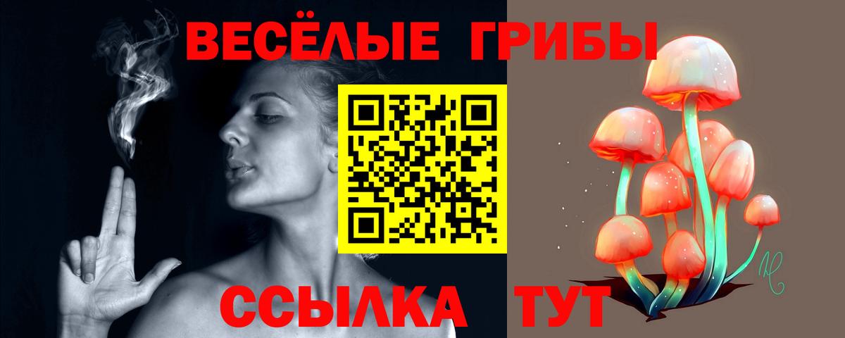 Галлюциногенные грибы мицелий  Ессентуки  Галлюциногенные грибы Psilocybine cubensis 