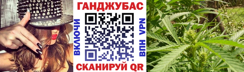 Конопля планчик Ессентуки