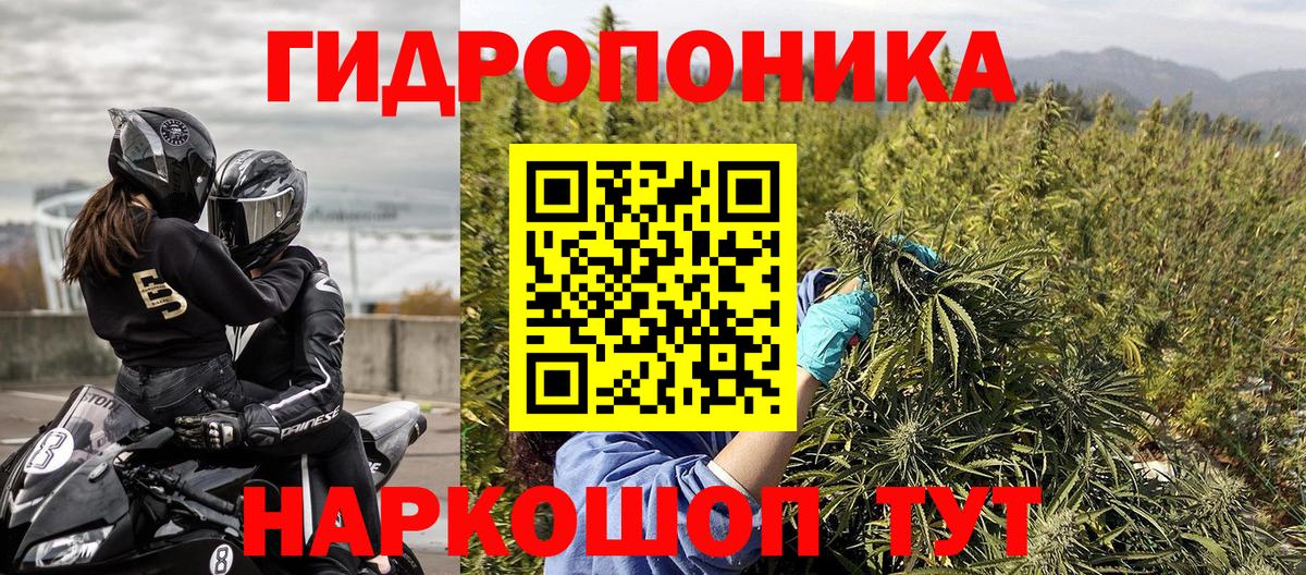 Шишки марихуана план Ессентуки